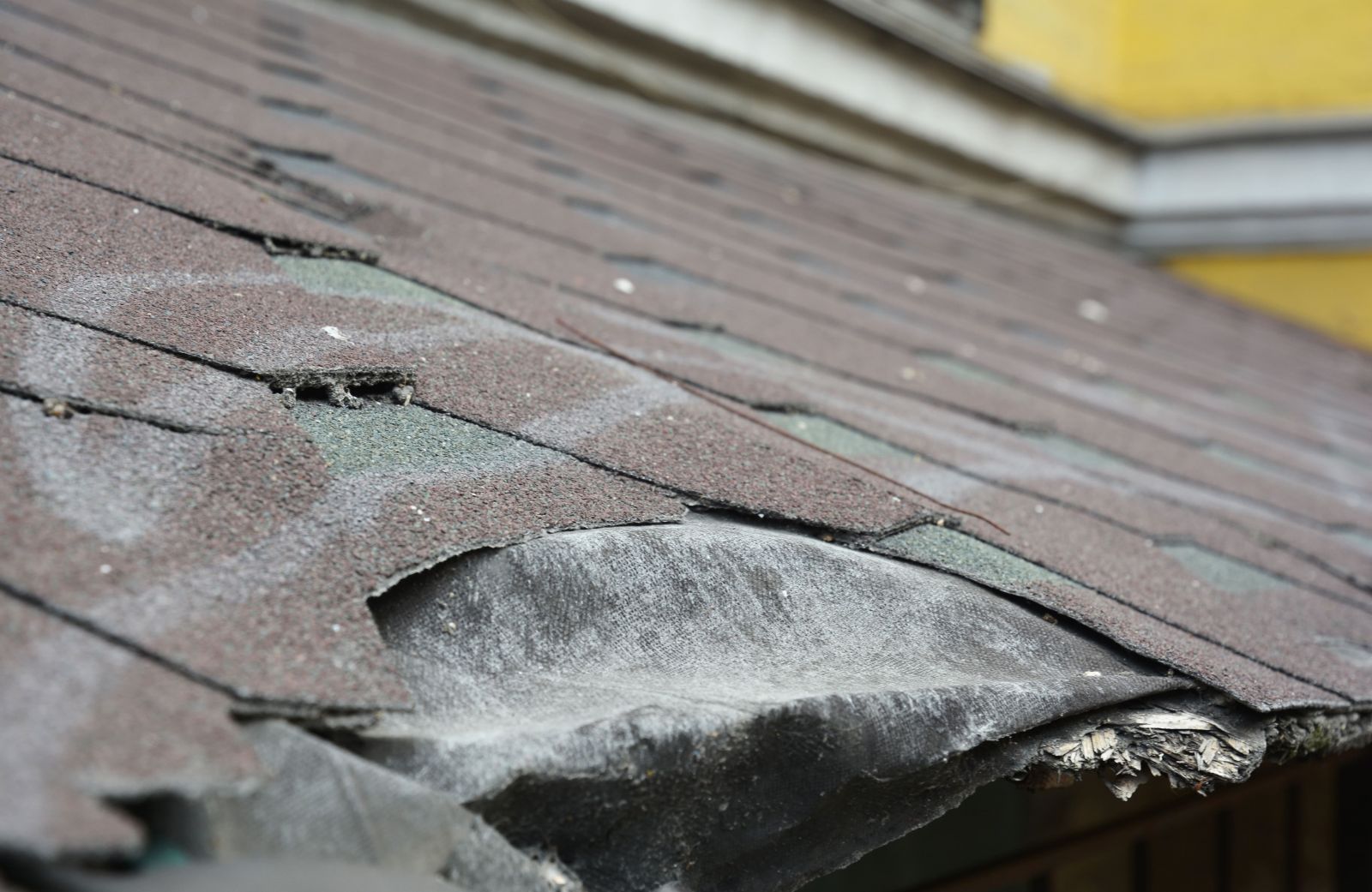Westchester Roofing Images