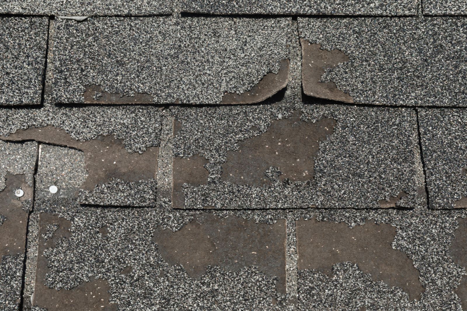 Westchester Roofing Images